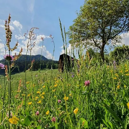 Apartament Stoffenhof Oberdrauburg