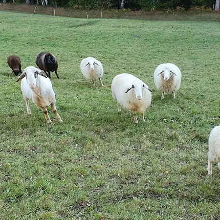 Apartment Stoffenhof