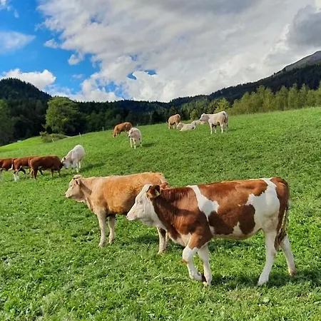 Stoffenhof Appartement Oberdrauburg