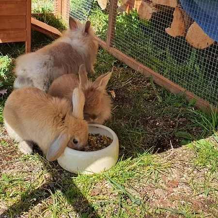 Stoffenhof * Oberdrauburg