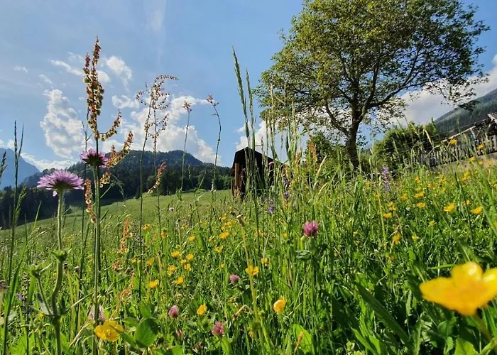 Daire Stoffenhof Oberdrauburg