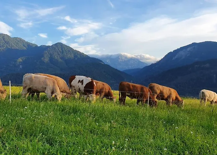 Апартаменты Stoffenhof Обердраубург