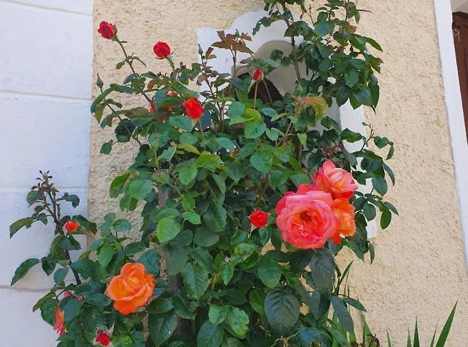 Daire Stoffenhof Oberdrauburg