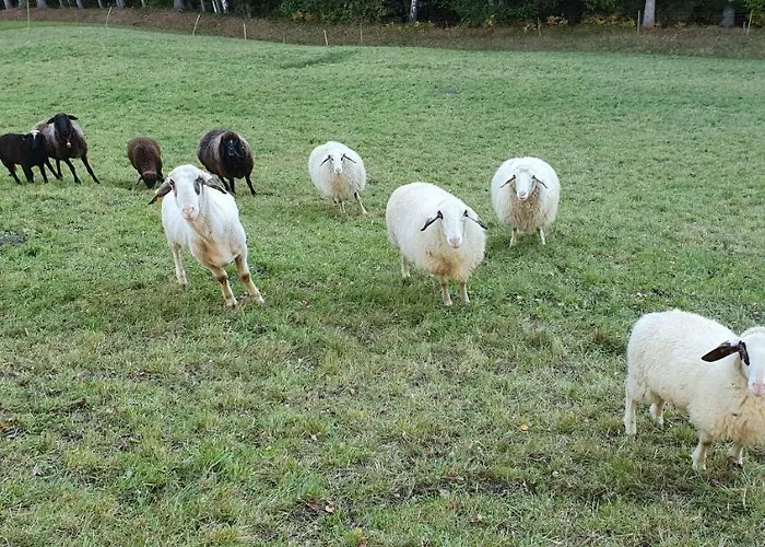 Апартаменты Stoffenhof