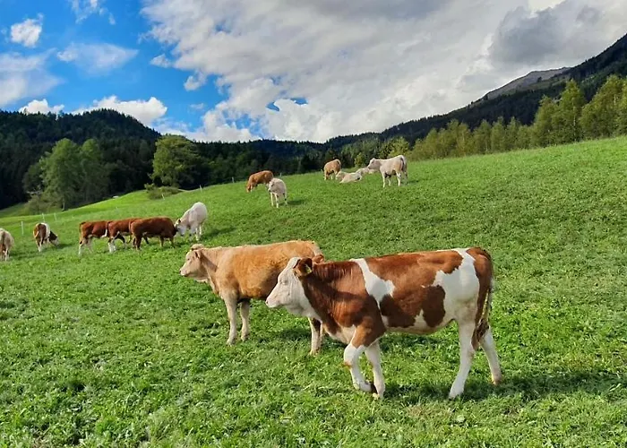 Stoffenhof Апартаменты Обердраубург