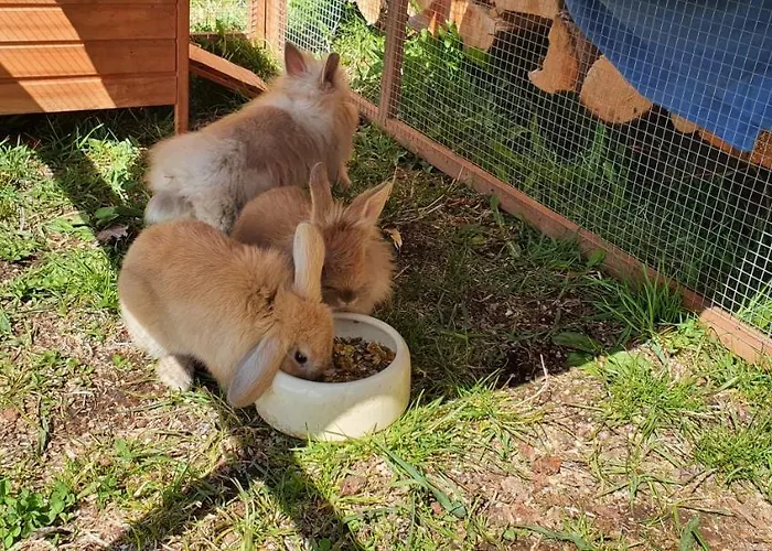 Stoffenhof * Oberdrauburg